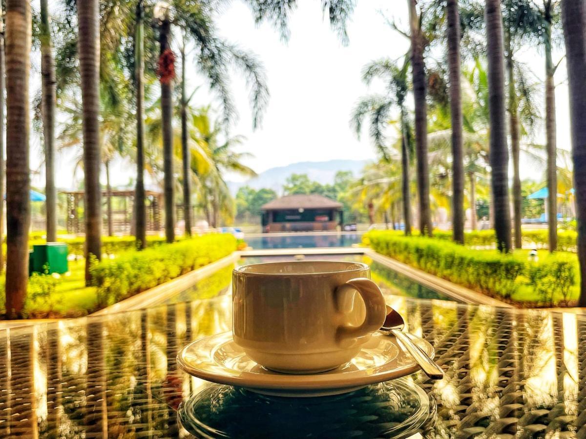 Radisson Blu Plaza Resort & Convention Centre Карджат Екстер'єр фото A cup of coffee